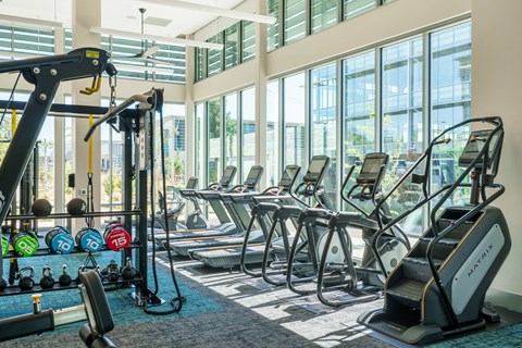 a row of cardio equipment in a gym with tall windows
