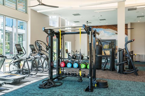 a gym with weights and other exercise equipment in a large room