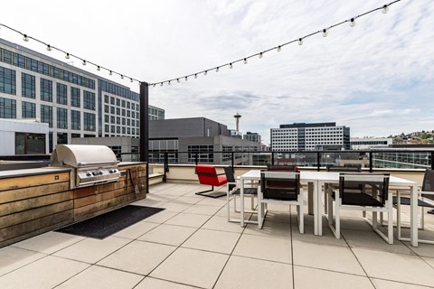 Radius Apartments Rooftop Grill