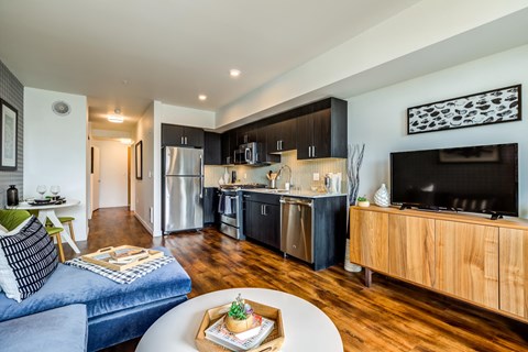 kitchen and living room