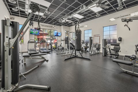 A gym with a variety of equipment including a punching bag.