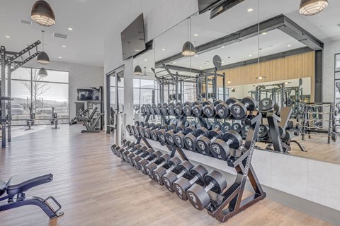 the gym is equipped with weights and cardio equipment