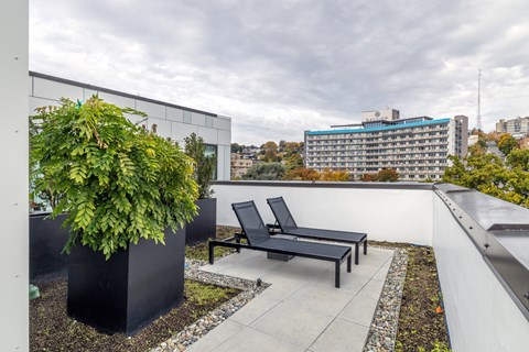 A black bench sits on a patio with a green plant in a black planter.