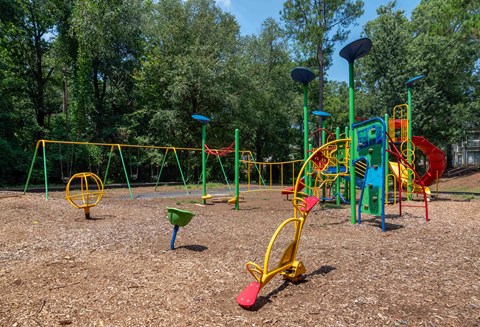 Roswell Creek playground with colorful equipment and trees in the background