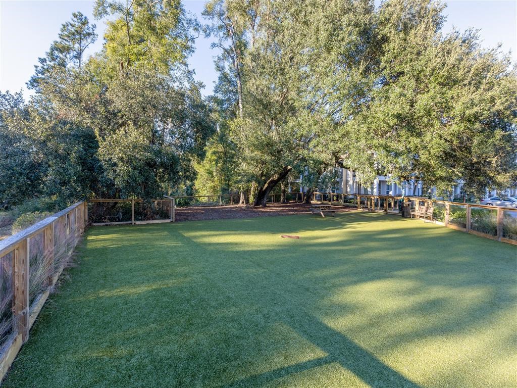 a large backyard with a fence and trees
