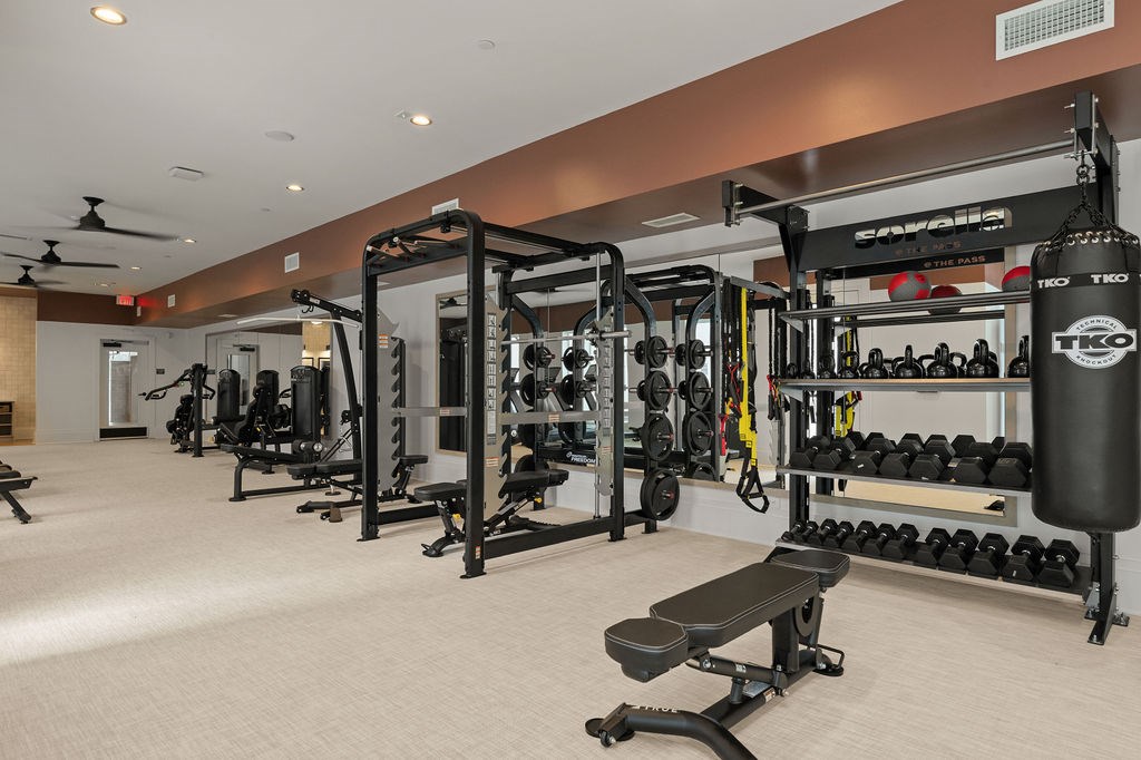 A gym with a variety of equipment including a squat rack, bench, and weights.