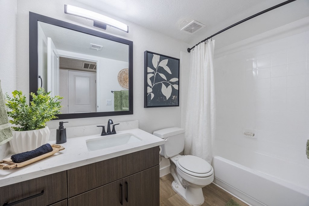 bathroom with toilet, sink and tub shower