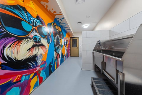Interior dog wash room, ceiling lighting, mural wall art.