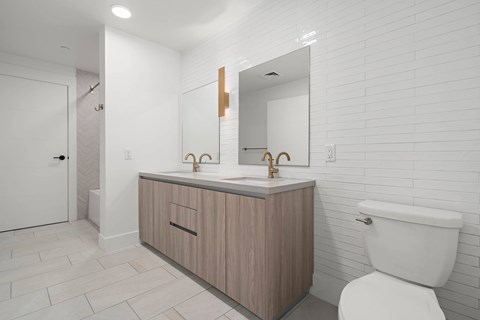 Interior bathroom, ceiling lighting, mounted mirror, double sink