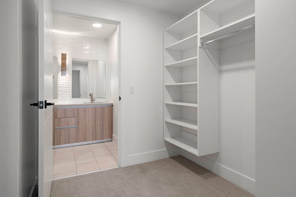 Interior large closet, ceiling lighting, looking out the bathroom.