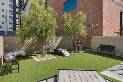 Dog park with a small grassy area with a bench and a tree.