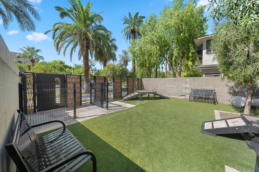 Dog park with a small grassy area with a bench and a tree.