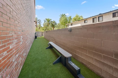 Dog runway fenced in