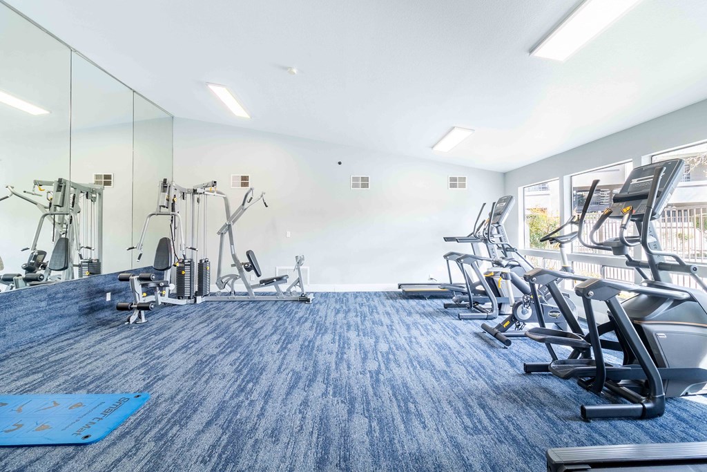 A gym with a blue carpet and various exercise machines.