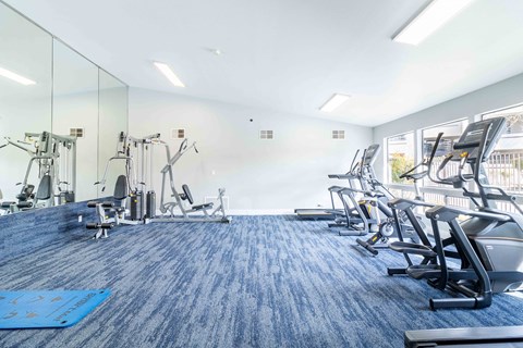 A gym with a blue carpet and various exercise machines.