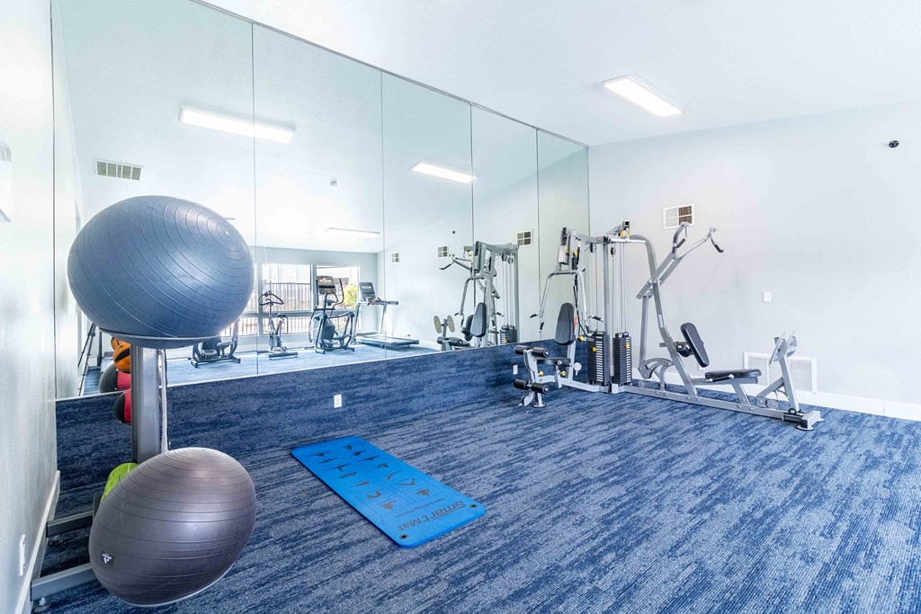 A gym with a blue carpet and a variety of exercise equipment.