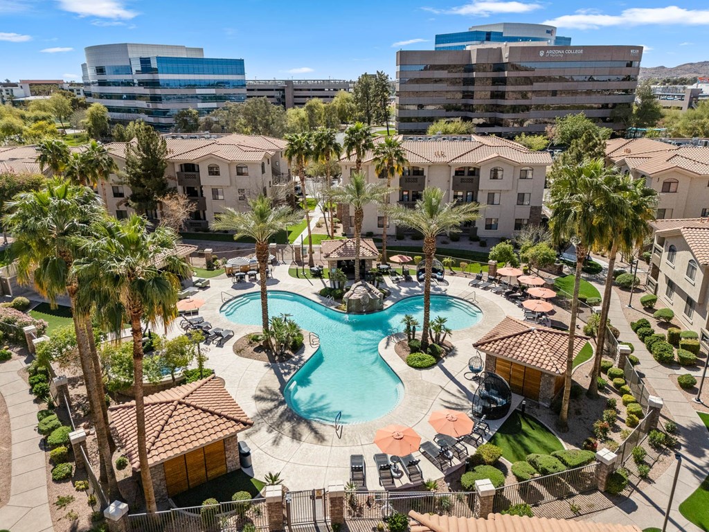 A large swimming pool surrounded by palm trees and buildings.