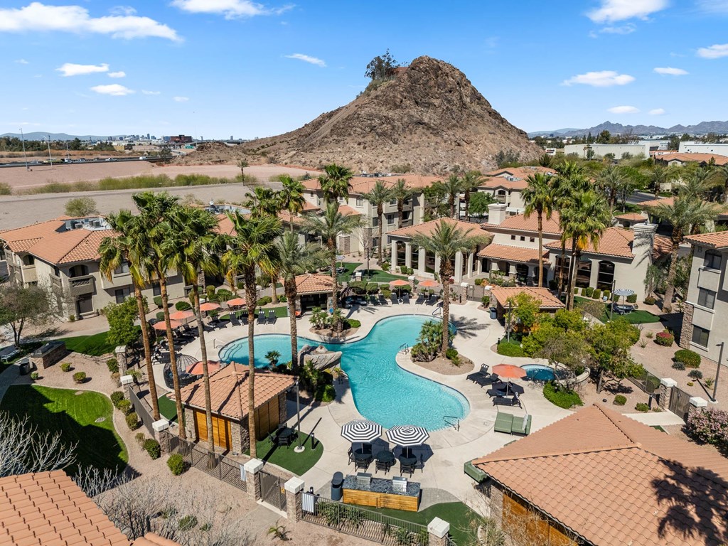 A large swimming pool surrounded by palm trees and buildings.
