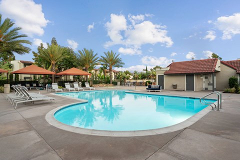 A large swimming pool surrounded by lounge chairs and palm trees.