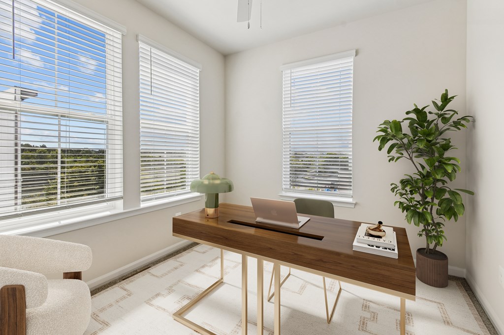 A room with a table, chairs, and a plant.