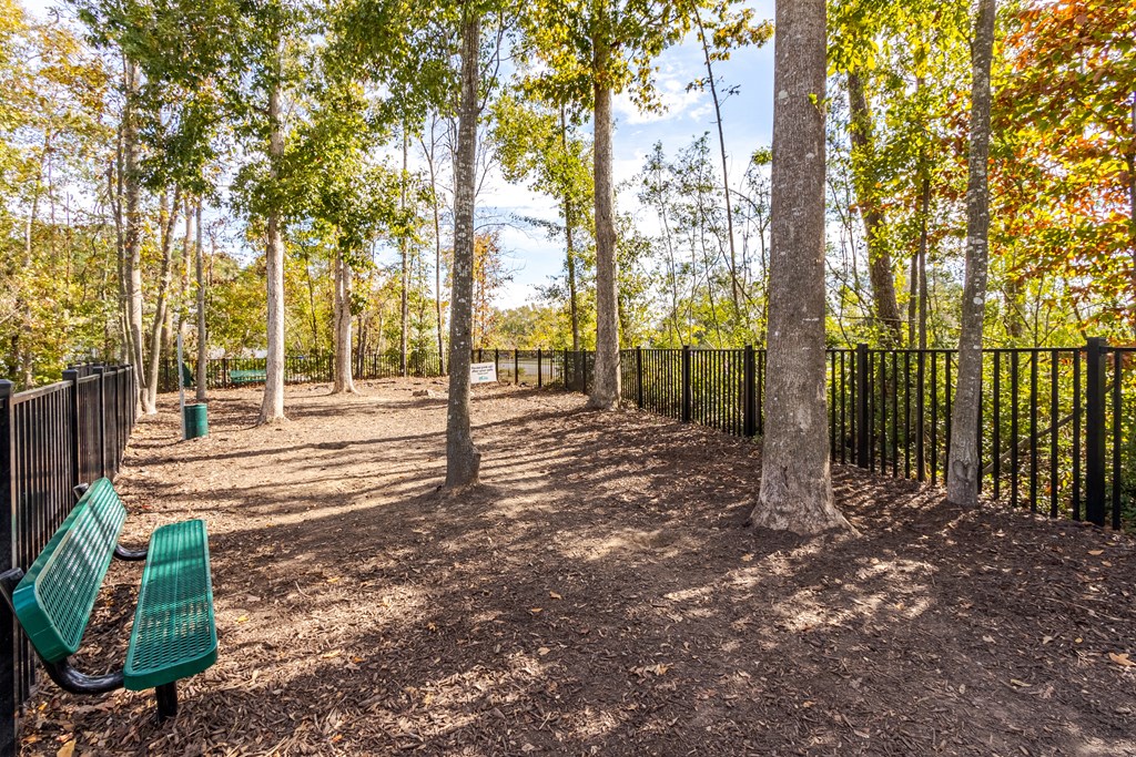 A park with a bench and trees.
