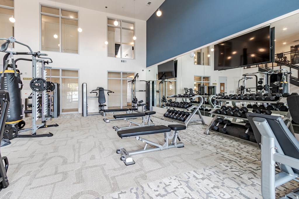 A spacious gym with a variety of equipment including treadmills, weights, and a television.