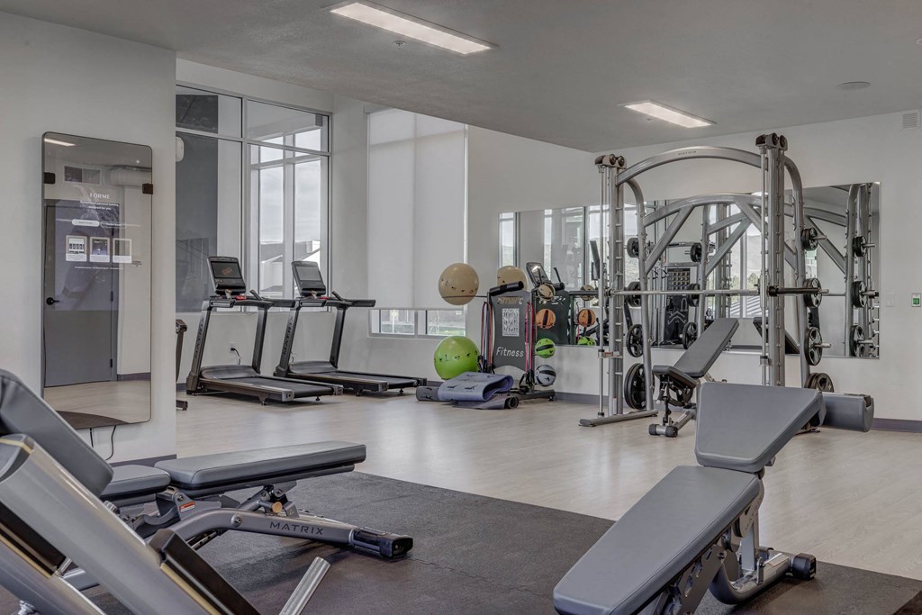 A gym with a variety of equipment including treadmills, weights, and a bench press.