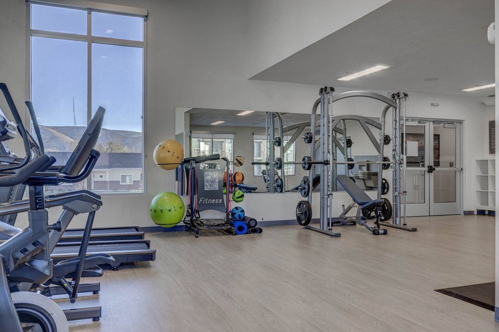 A gym with a variety of equipment including treadmills, weights, and a medicine ball.