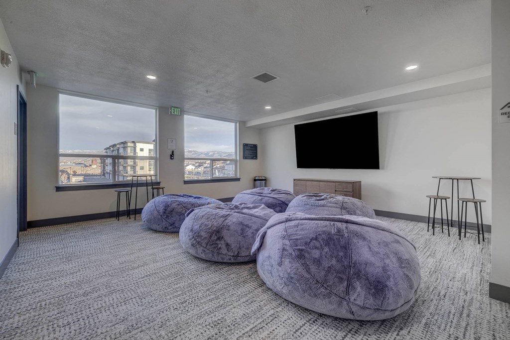 A room with grey carpet and purple bean bag chairs.