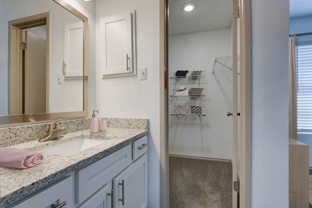 A bathroom with a sink, mirror, and a closet.