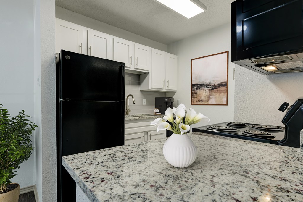 A black refrigerator sits in a kitchen with a granite countertop.