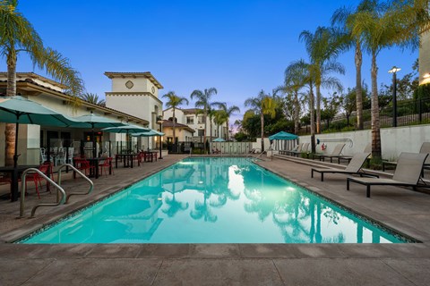 A swimming pool surrounded by palm trees and lounge chairs.