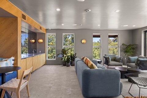 A living room with a grey couch and a wooden chair.