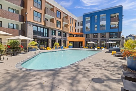 A large swimming pool is surrounded by apartment buildings.