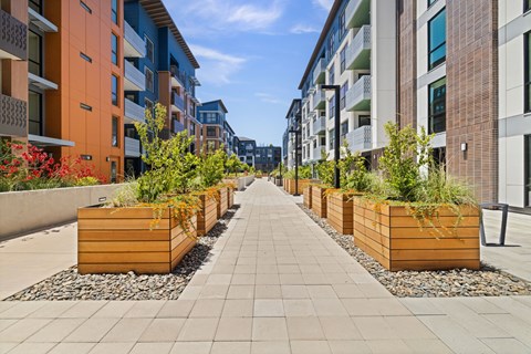 A long walkway with wooden planters on either side.