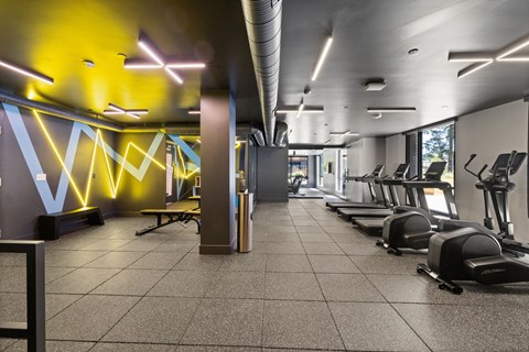 A gym with treadmills and exercise equipment.