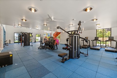 A gym with a variety of equipment including treadmills, weights, and a bench press.
