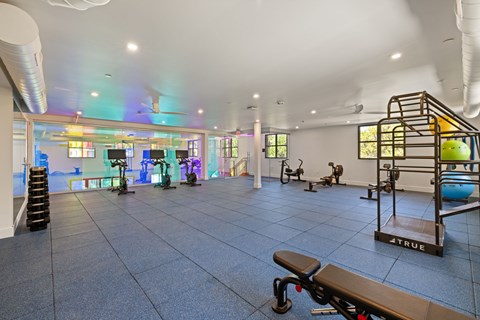 A gym with a variety of equipment including a bench, weights, and a pull up bar.