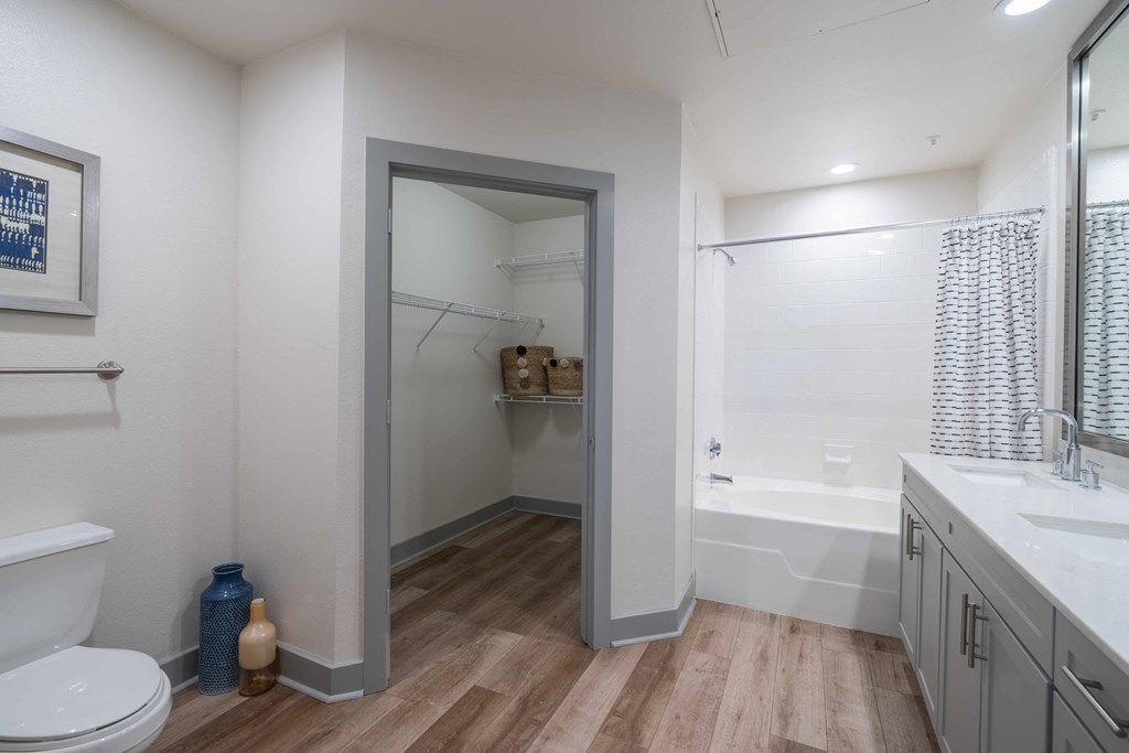 a bathroom with a toilet and a bathtub
