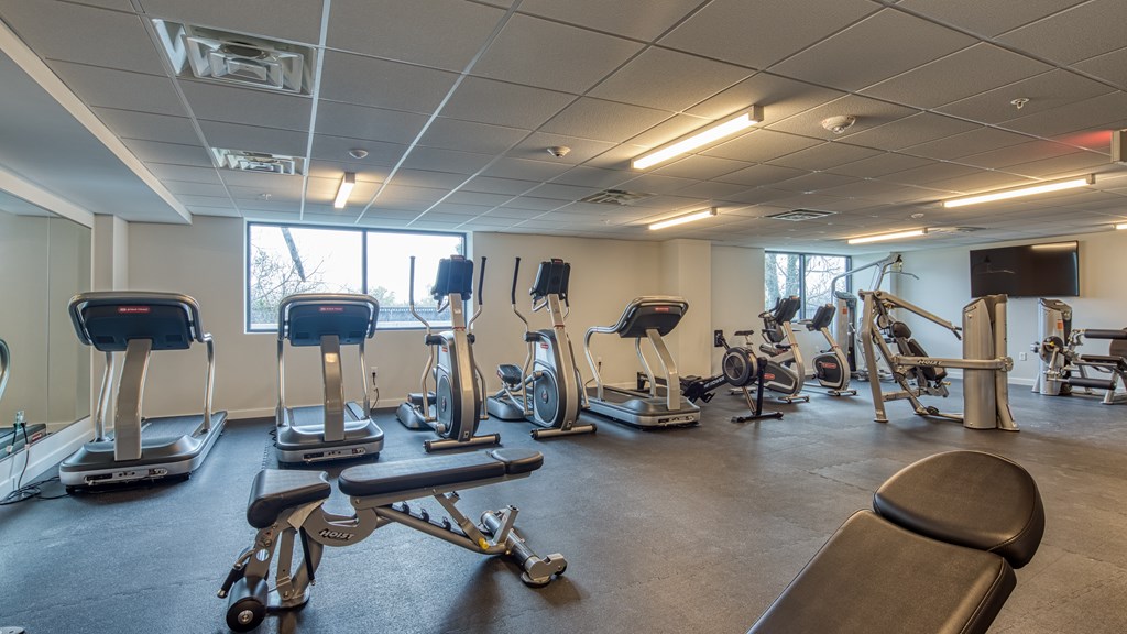 A gym with a variety of equipment including treadmills, stationary bikes, and weight machines.