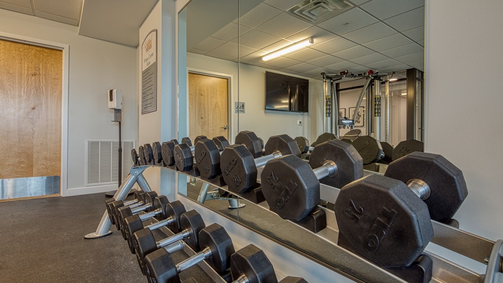 A gym with a row of black dumbbells on a rack.
