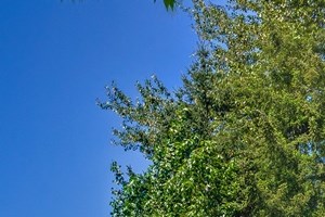Sign - Photo Gallery 4