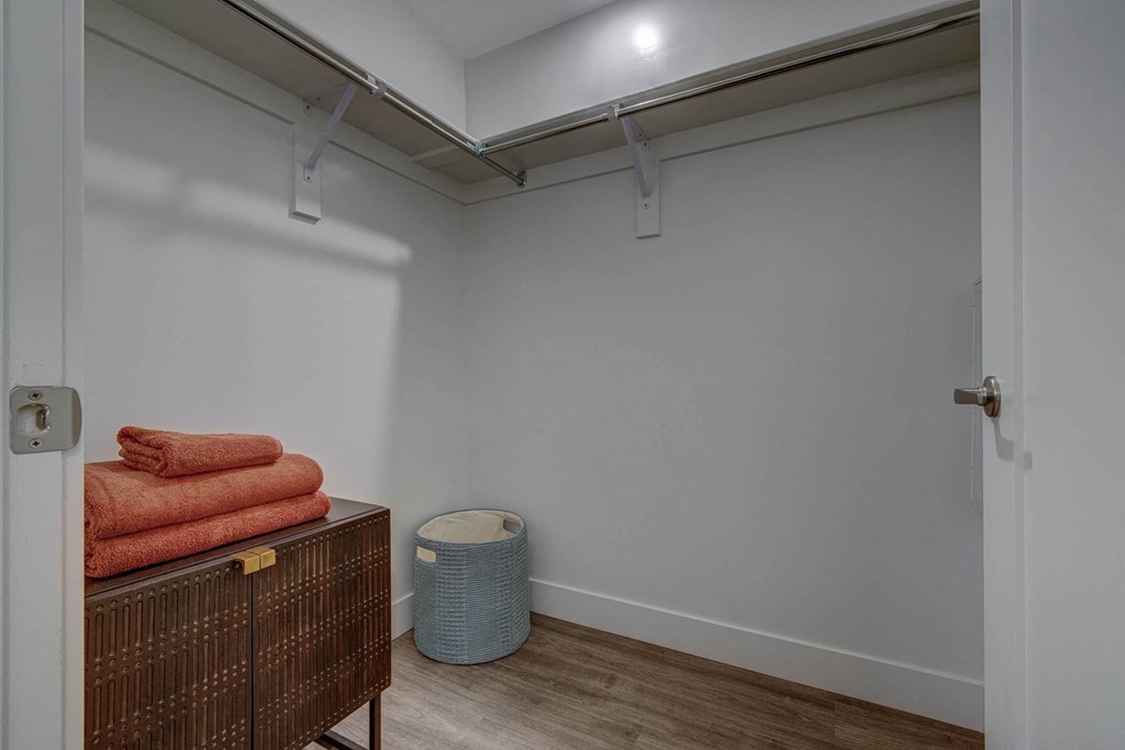 Spacious walk-in closet