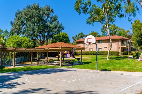 A basketball court is surrounded by a grassy area and trees.