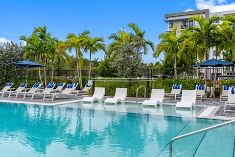 A pool surrounded by palm trees and lounge chairs.