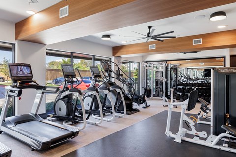 a gym with treadmills and other exercise equipment on the floor