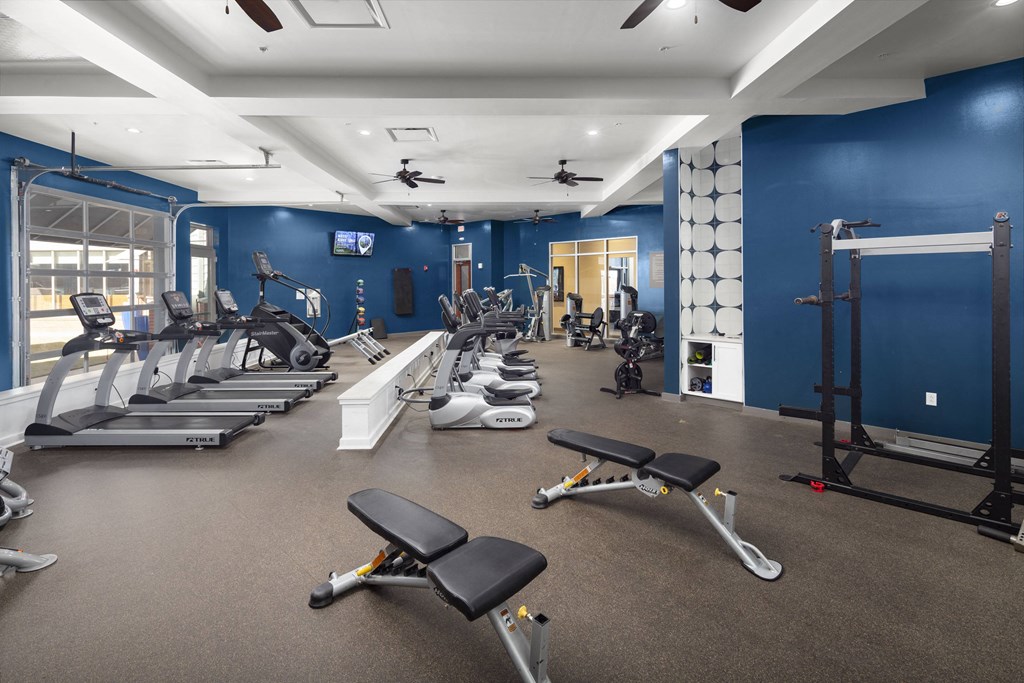 a gym with cardio equipment and weights on the floor and blue walls