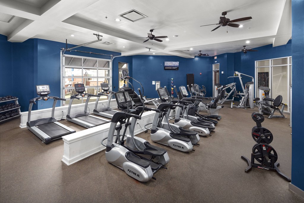 a gym with treadmills and other exercise equipment