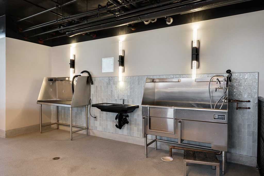 pet wash with stainless steel appliances