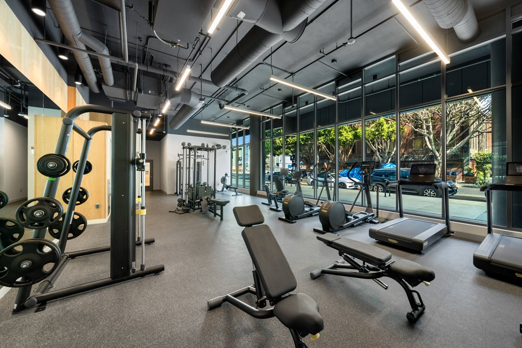 a gym with weights and other exercise equipment and a window view of a pool